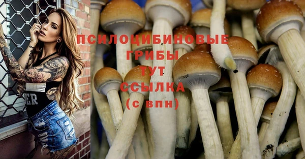 прущая мука Лихославль