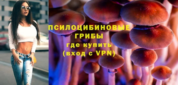 дмт Магас