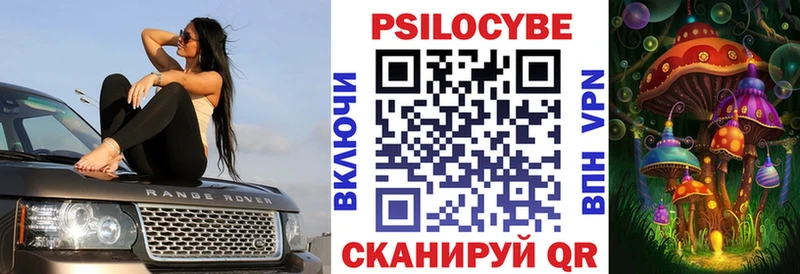 магазин продажи наркотиков  ОМГ ОМГ зеркало  Галлюциногенные грибы Psilocybine cubensis  Ясногорск 
